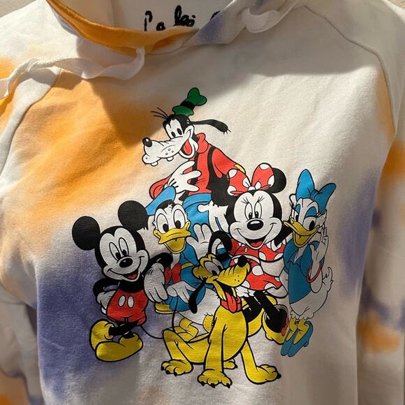 NWT Disney Parks Fab Five Vintage Hoodie Donald Goofy Minnie Mickey S L XL - Picture 2 of 2